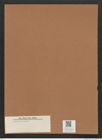 Diatomeae indet. Zeichnungen Sammlung Grunow Mappe 02919 (Herbarium_W_Grunow_drawings_Folder_02919)